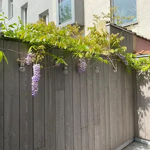 1,2,trois...le Roi Ferienhaus Gent